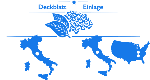 Deckblatt, Einlage, Maße