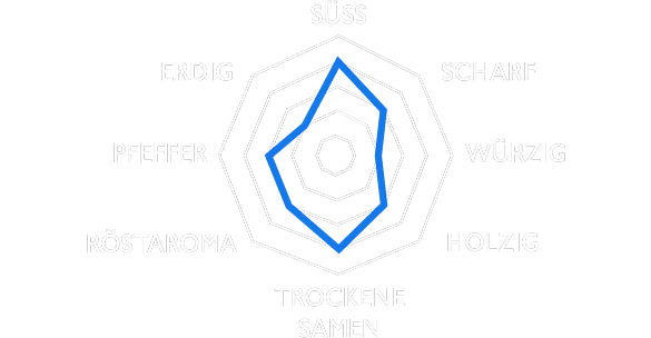 Sensorik
