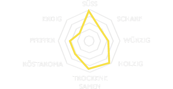 Sensorik