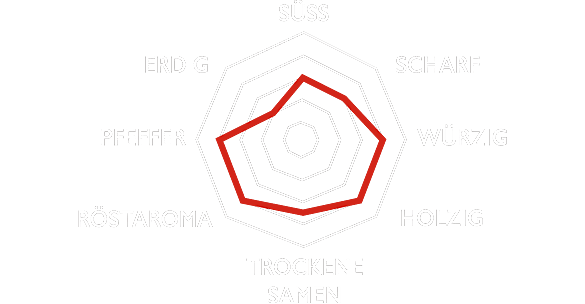 Sensorik
