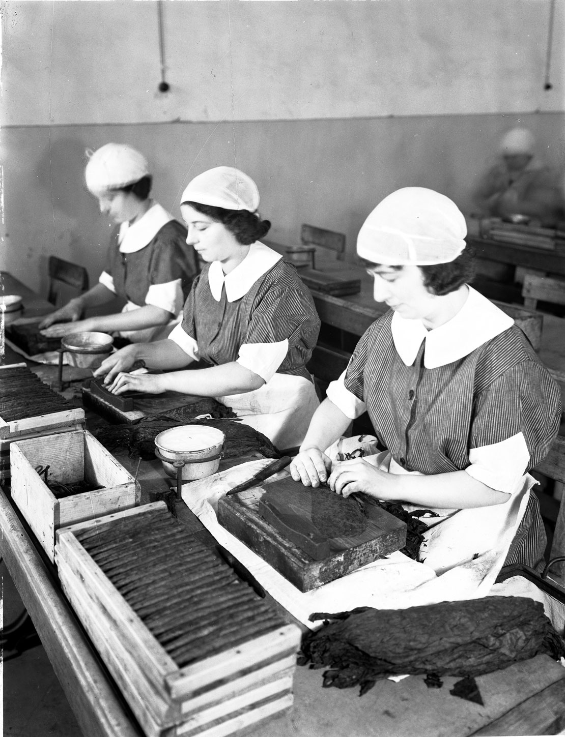 Toscano Firenze 1935 - Lavorazione sigari a mano
