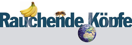 Auflösung Raucher-Rätsel