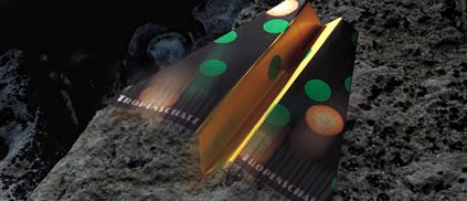 Tropenschatz Corona Gleiter