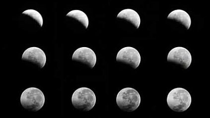 Kalender für Nachtaktive