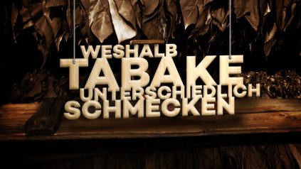Weshalb Tabake unterschiedlich schmecken