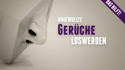 Wie man ungewollte Gerüche wieder los wird