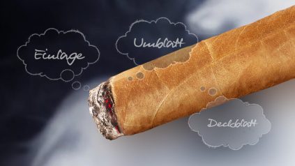Aufbau einer Zigarre - Einlage, Umblatt und Deckblatt