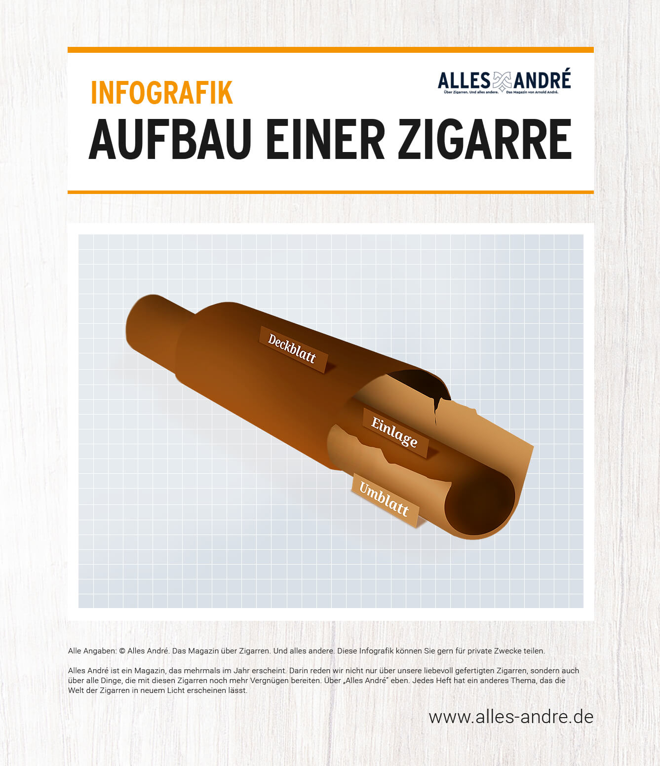 Aufbau einer Zigarre: Deckblatt, Umblatt und Einlage