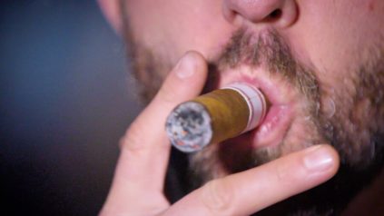 Zigarren für Anfänger