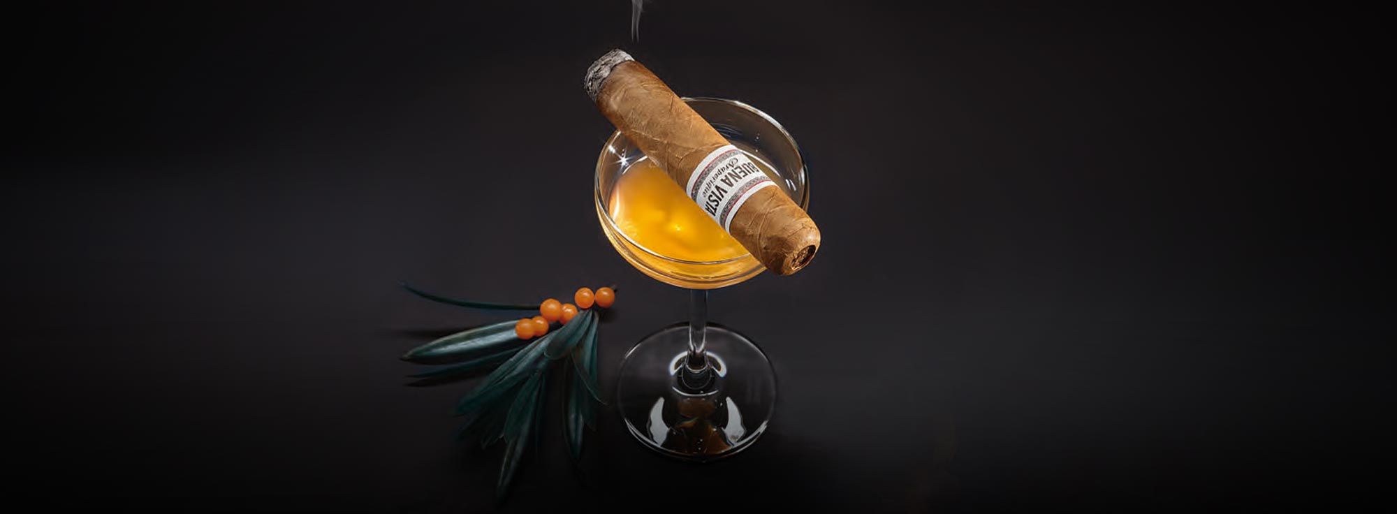 Buena Vista Zigarren genussvoll kombiniert