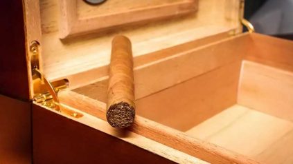 Zigarren Lagerung
