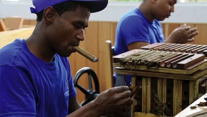 Wie eine Zigarre entsteht