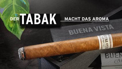 Der Tabak macht das Aroma: BUENA VISTA Araperique