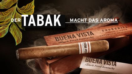 Der Tabak macht das Aroma: BUENA VISTA Dark Fired Kentucky