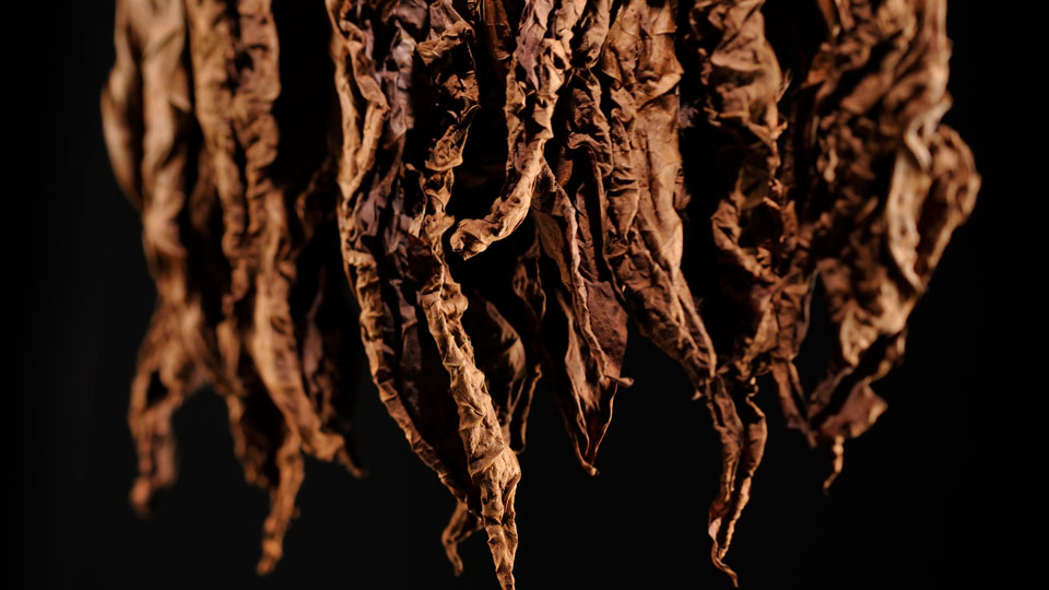 TOSCANO – Die Geburt eines Mythos