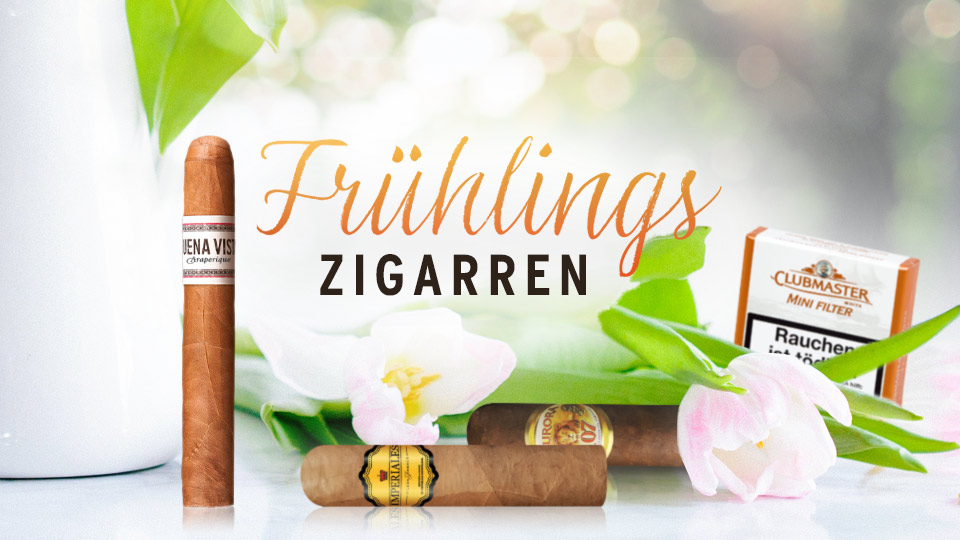 Frühling Zigarren